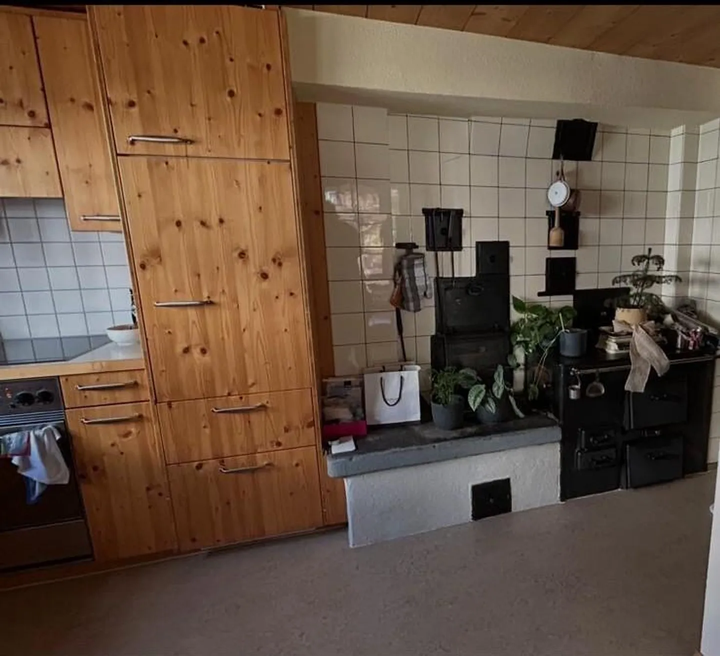 Cozy 3.5 Room Apartment with Lots of Wood - Photo 5 of 14