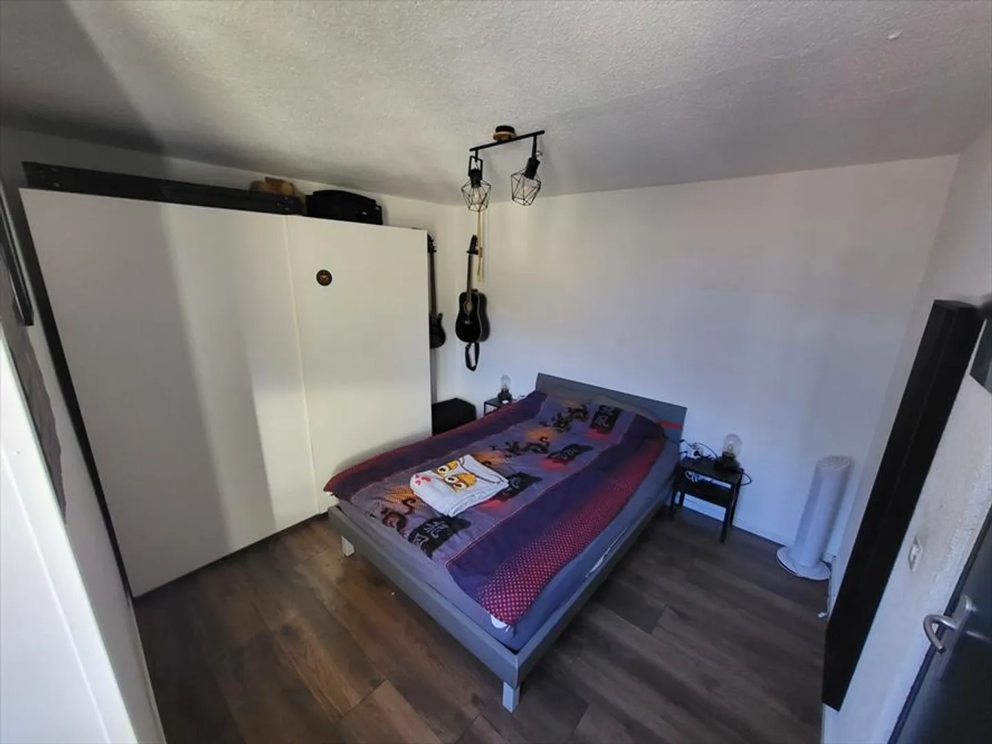 Charming 2.5 room recently renovated - Photo 3 of 6