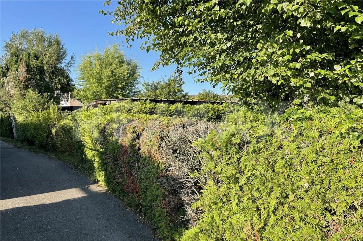 Terrain constructible à vendre - Photo 1 sur 10