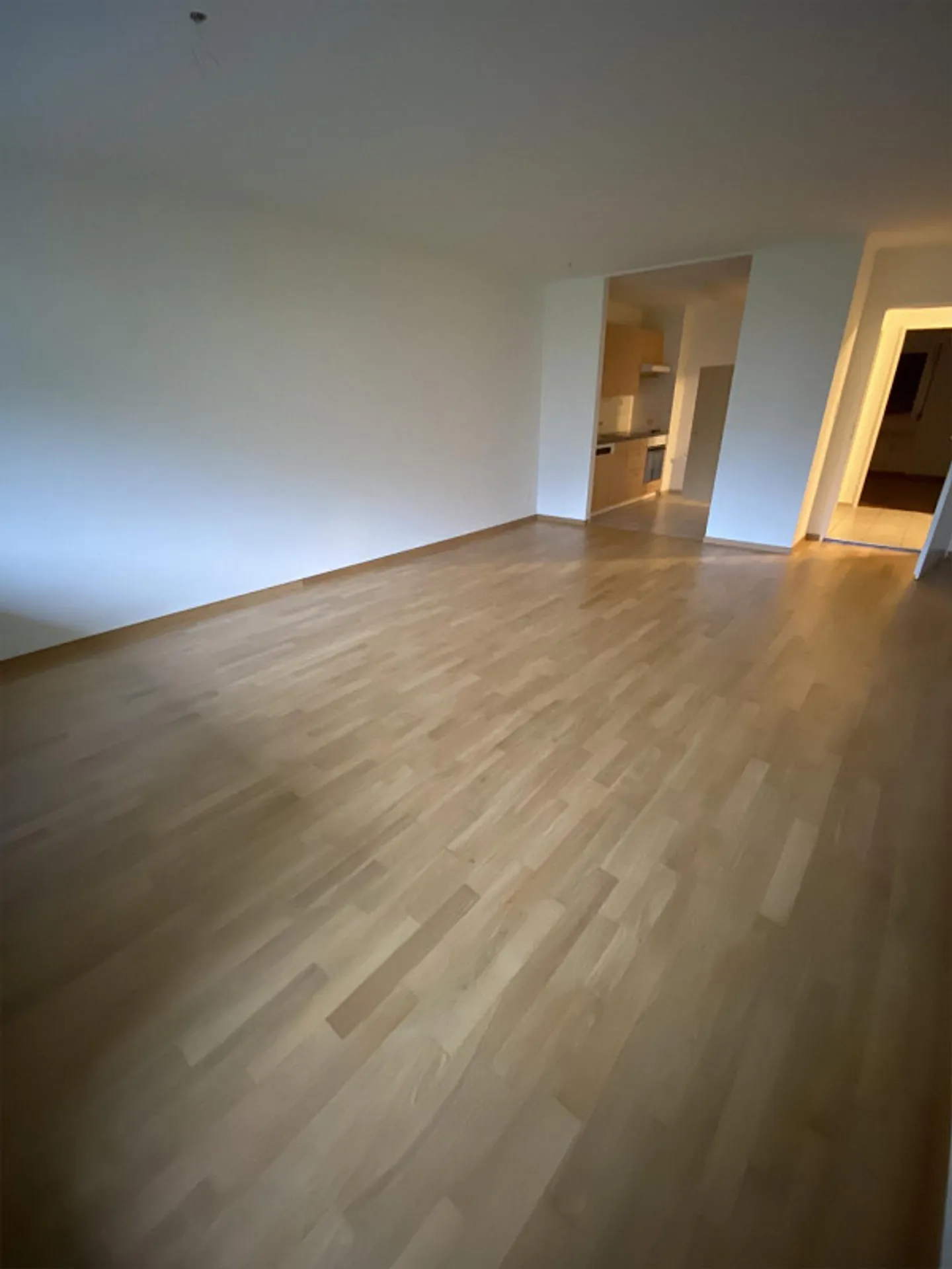 3.5 Room Apartment near NTB and BZB - Photo 13 of 17