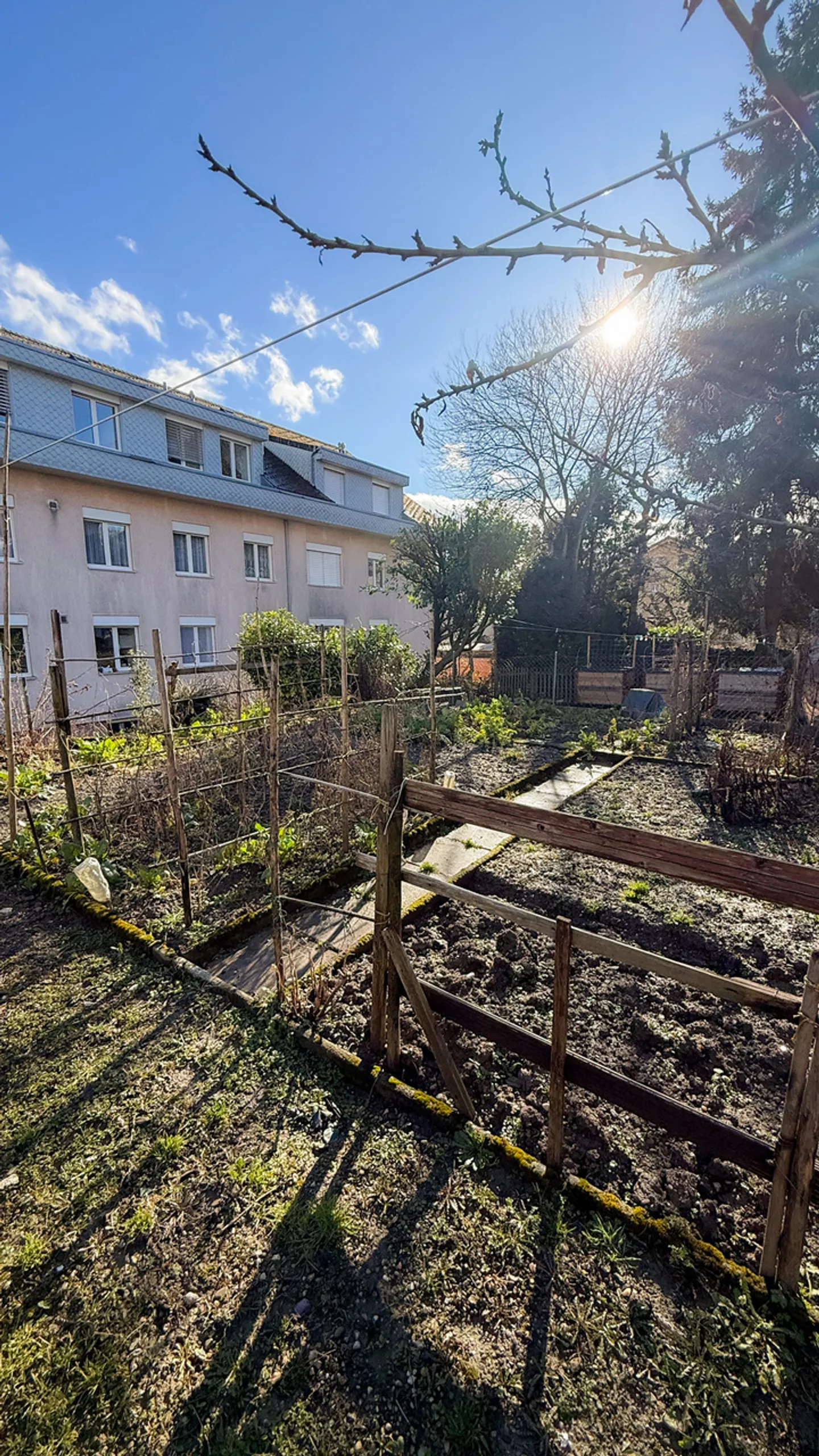 Charmante Wohnung mit Garten - Foto 4 von 13