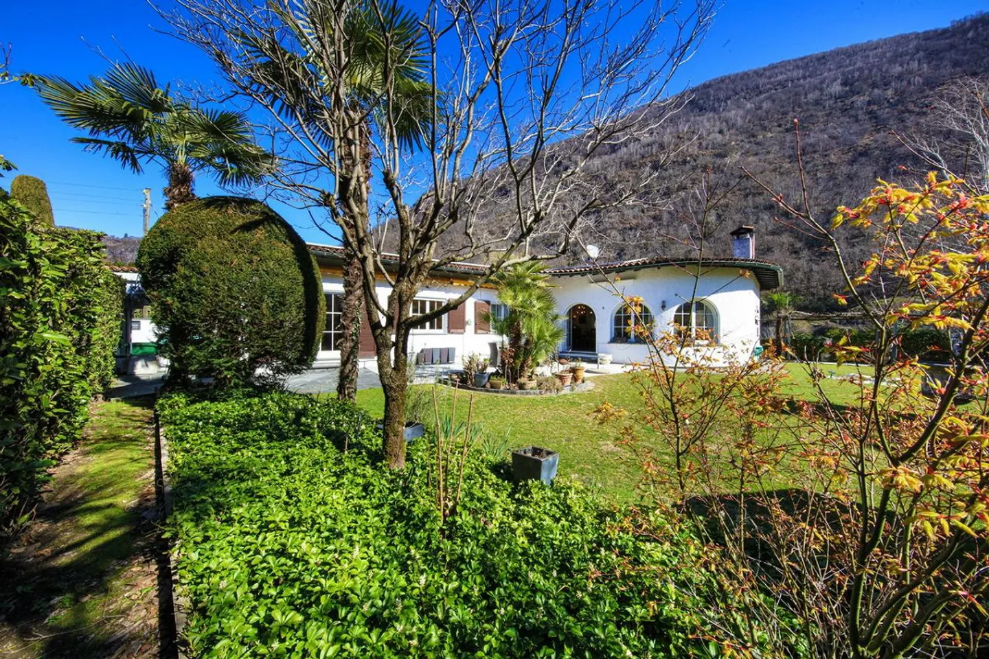 Pure Nature | TI - Photo 4 of 15