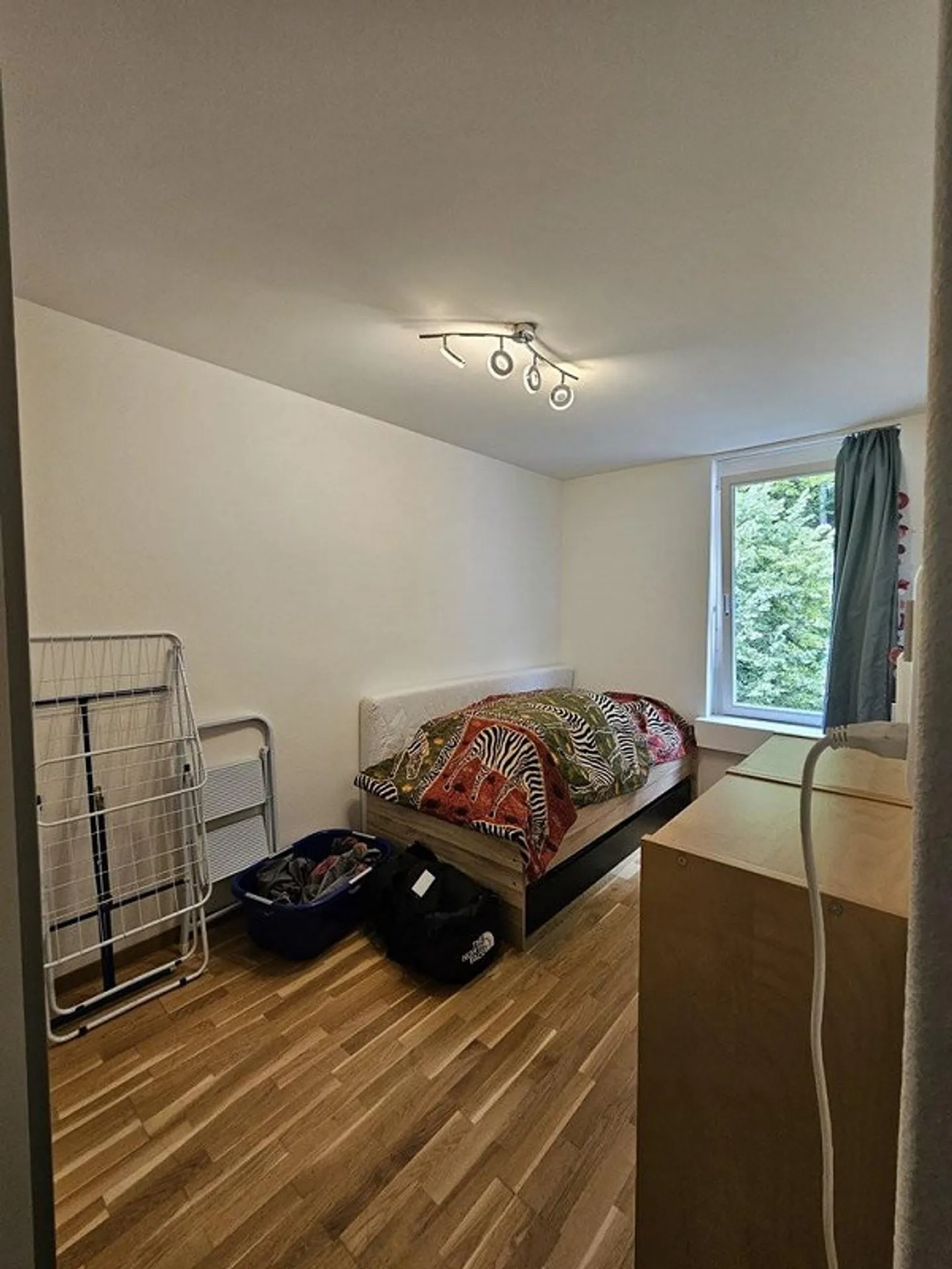 Bellissimo appartamento di 4,5 stanze con vista sull'Aare a Unterseen in affitto - Foto 5 di 9