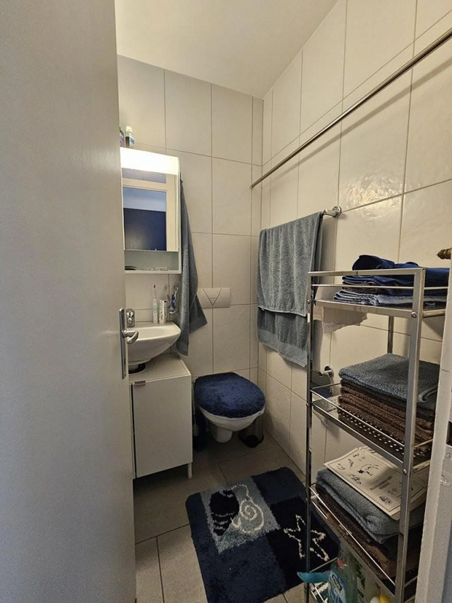 Bellissimo appartamento di 4,5 stanze con vista sull'Aare a Unterseen in affitto - Foto 6 di 9