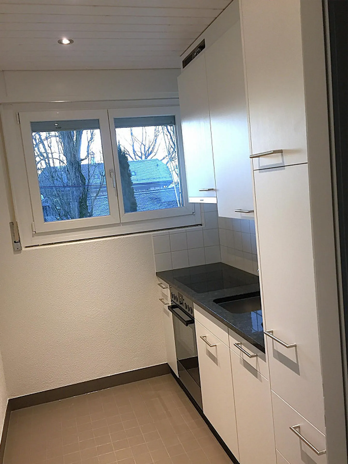 Spacieux, Idéal Appartement 1 Chambre avec Vue Époustouflante à Berne - Photo 2 sur 9