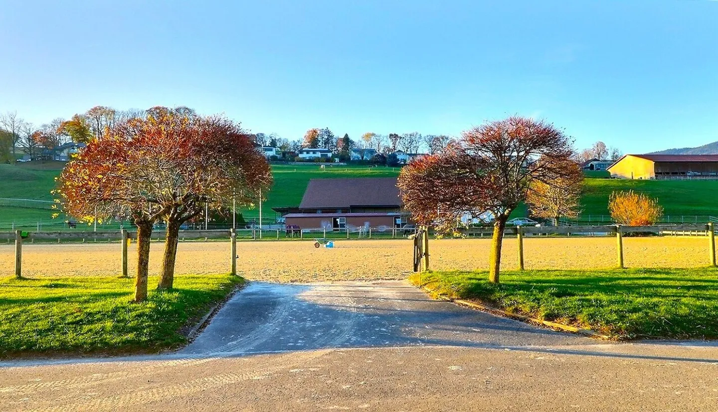 Rare equestrian property, 20 minutes from Vevey - Photo 2 of 15