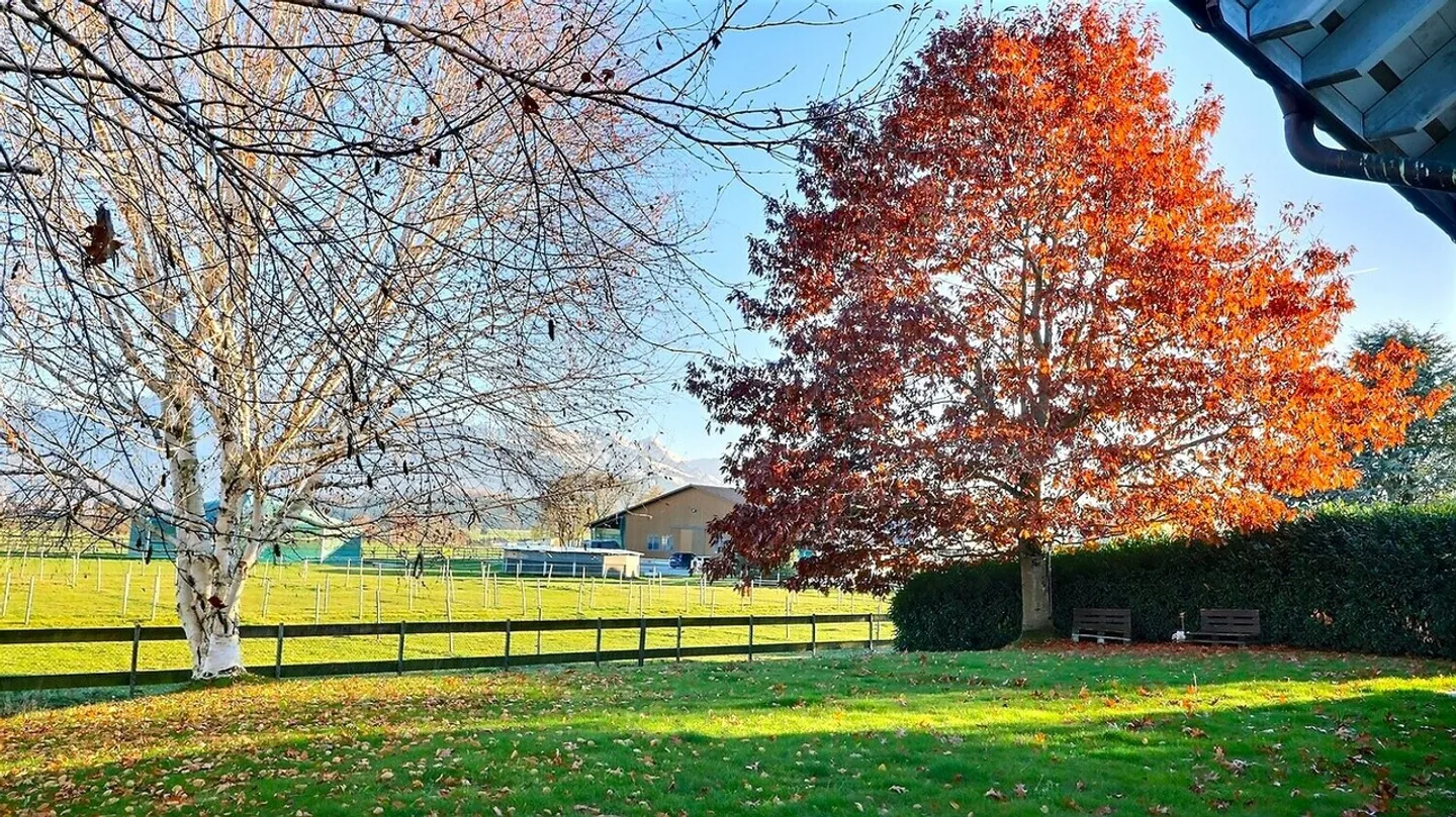 Rare equestrian property, 20 minutes from Vevey - Photo 13 of 15