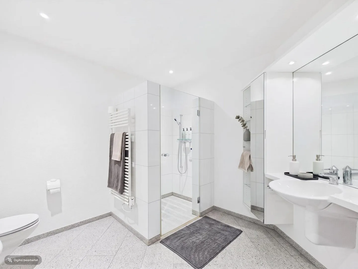 Spacious Terrace Apartment in Adliswil - Photo 8 of 13