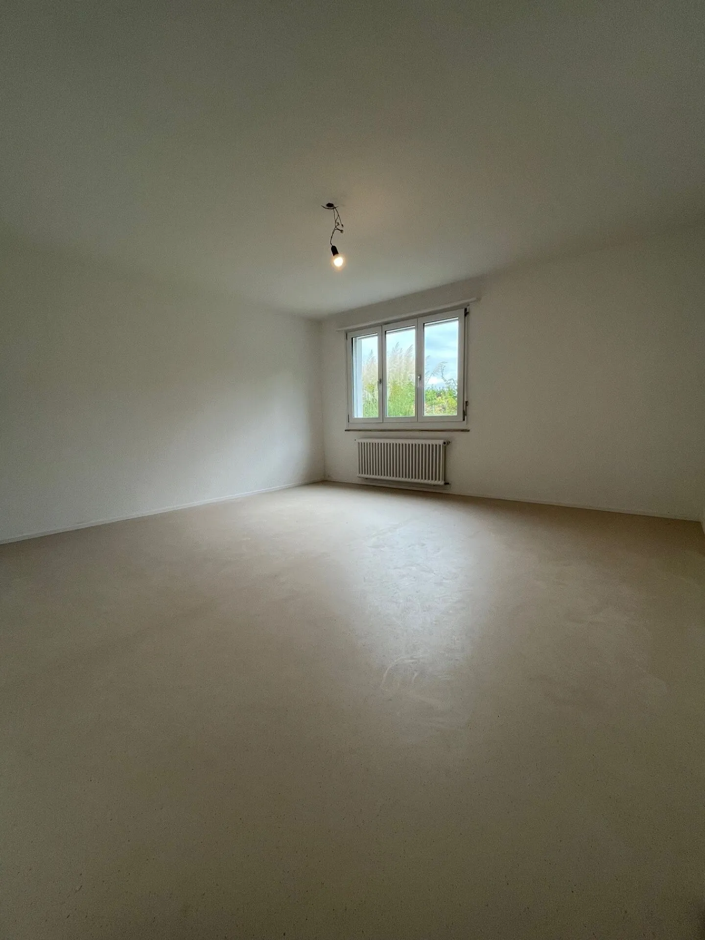 Spacious Living in a Sunny Location - Photo 8 of 28