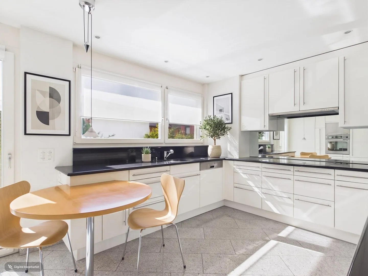 Spacious Terrace Apartment in Adliswil - Photo 12 of 13
