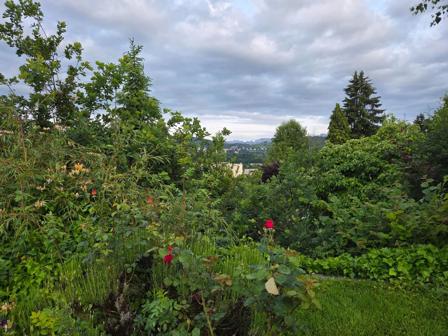 Spacious Living in a Sunny Location - Photo 22 of 28