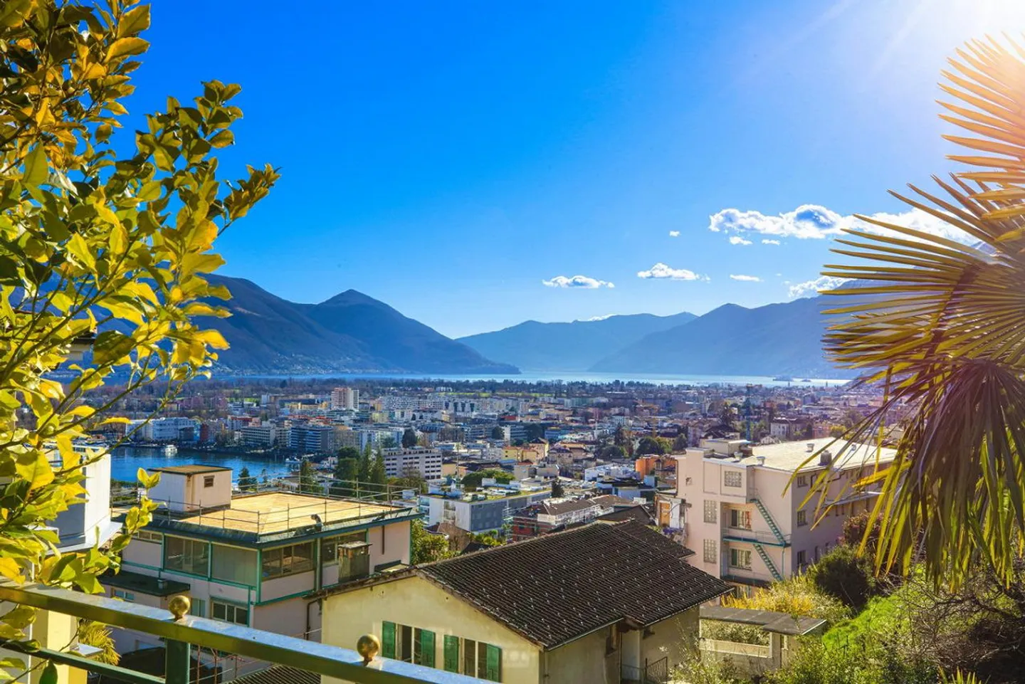 Michelangelo | TI - Photo 2 of 12