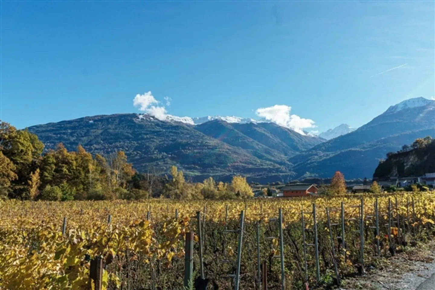 Villa in affitto - Foto 11 di 11