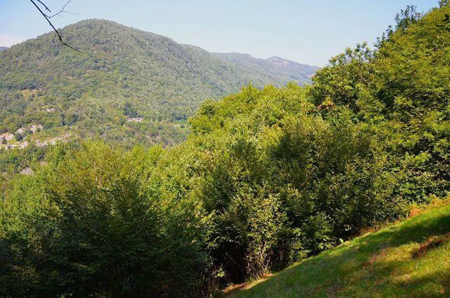 Rifugio rustico nella natura tranquilla - Foto 22 di 27