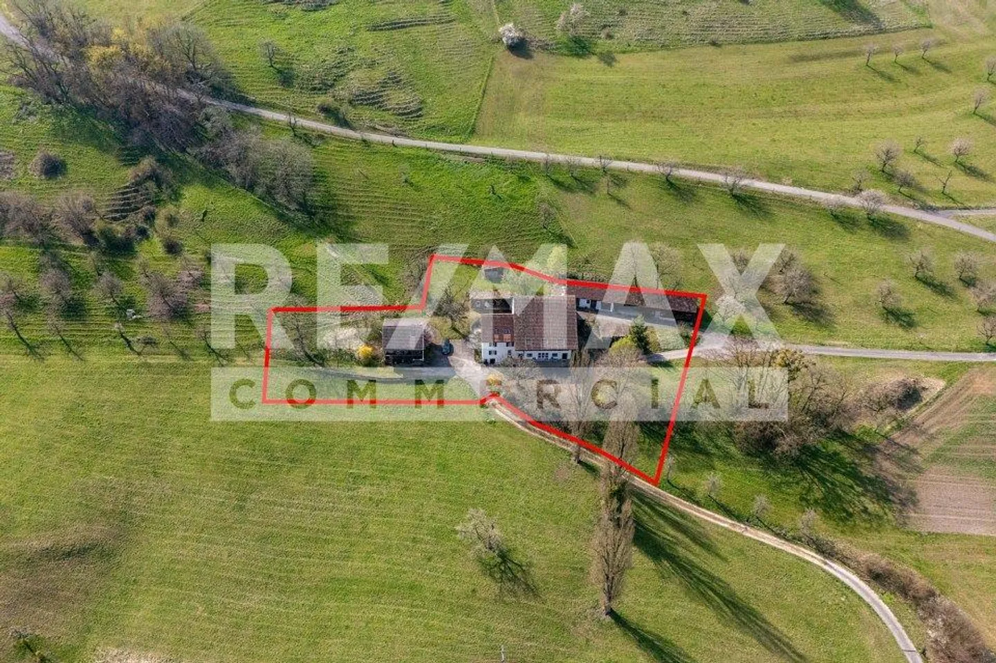 Unique estate with plenty of space and views - Photo 2 of 10