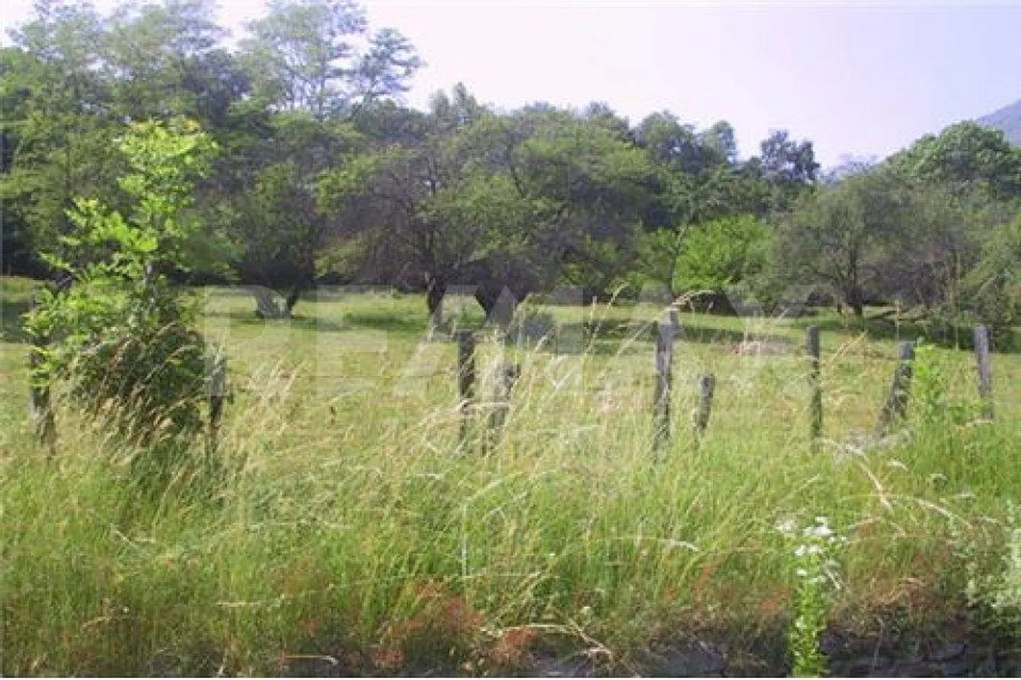 Terreno edificabile in mezzo alla natura - Foto 3 di 8