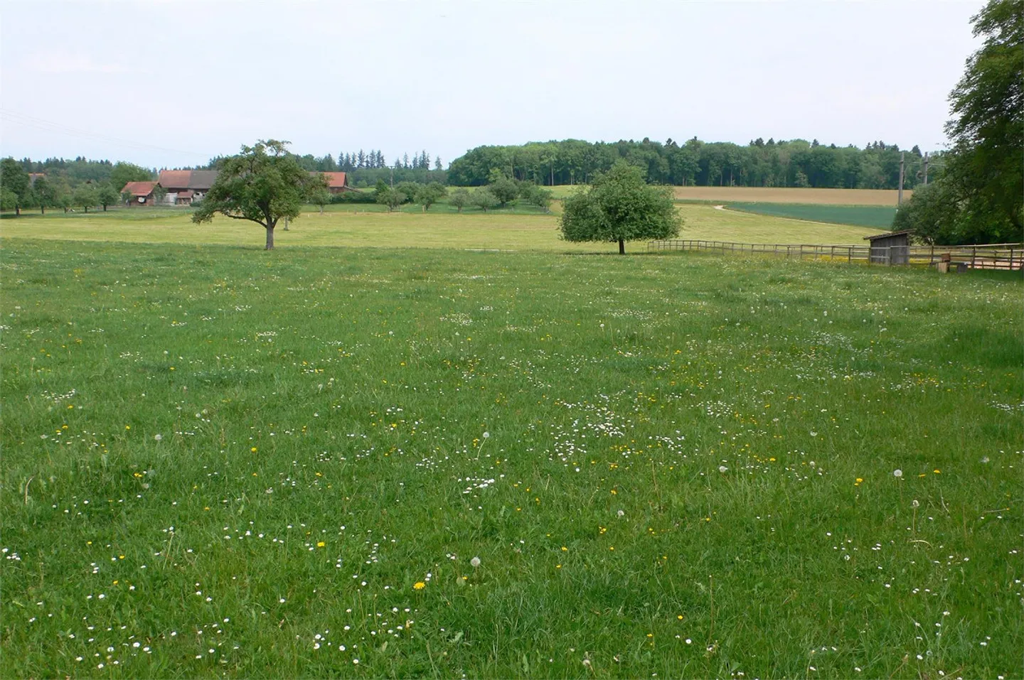 COPY - Beautiful new 3-room apartment with a view / In the middle of nature - Photo 9 of 11