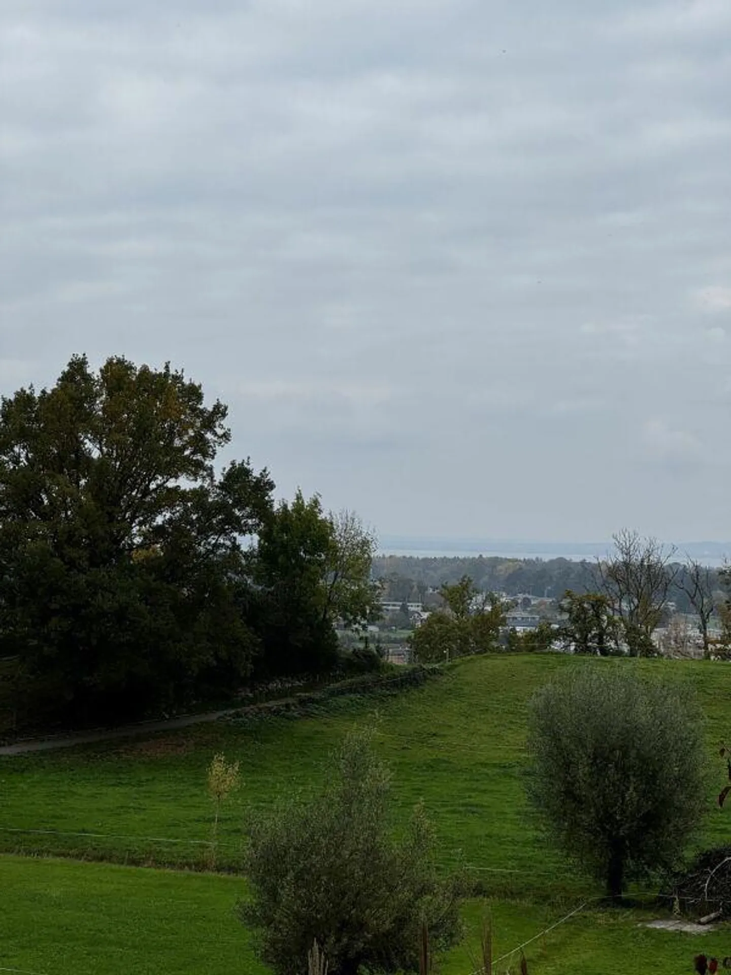 Einfamilienhaus mit Seesicht und Traumgarten (befristete Mietdauer ... - Foto 13 von 21