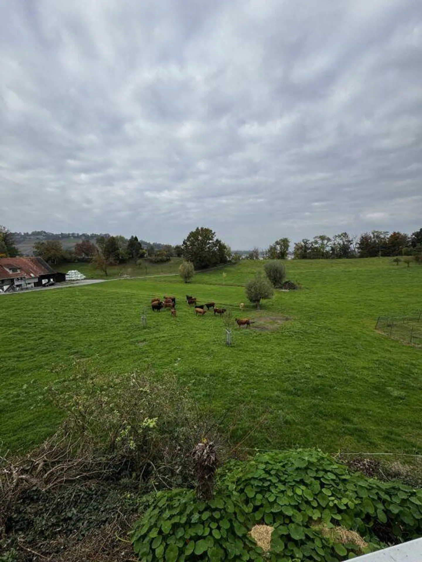 Einfamilienhaus mit Seesicht und Traumgarten (befristete Mietdauer ... - Foto 9 von 21
