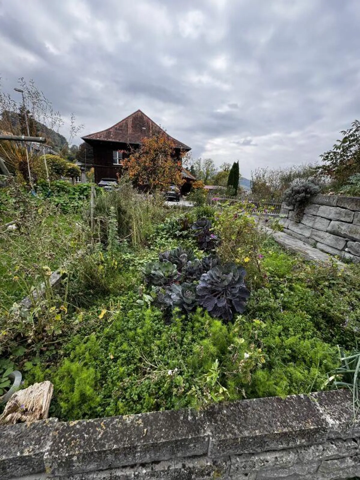 Einfamilienhaus mit Seesicht und Traumgarten (befristete Mietdauer ... - Foto 18 von 21