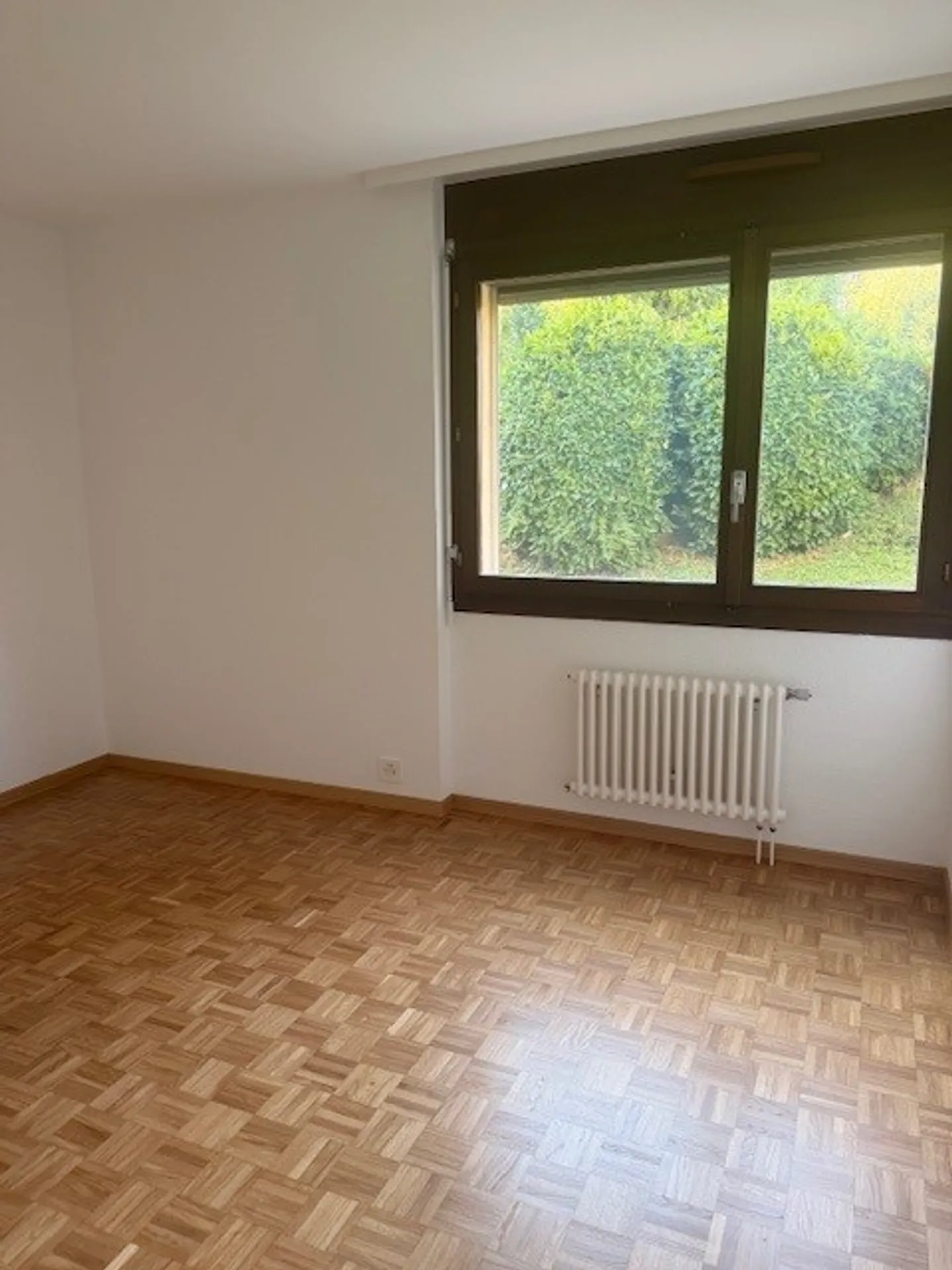 3.5 Room Apartment - Photo 9 of 11