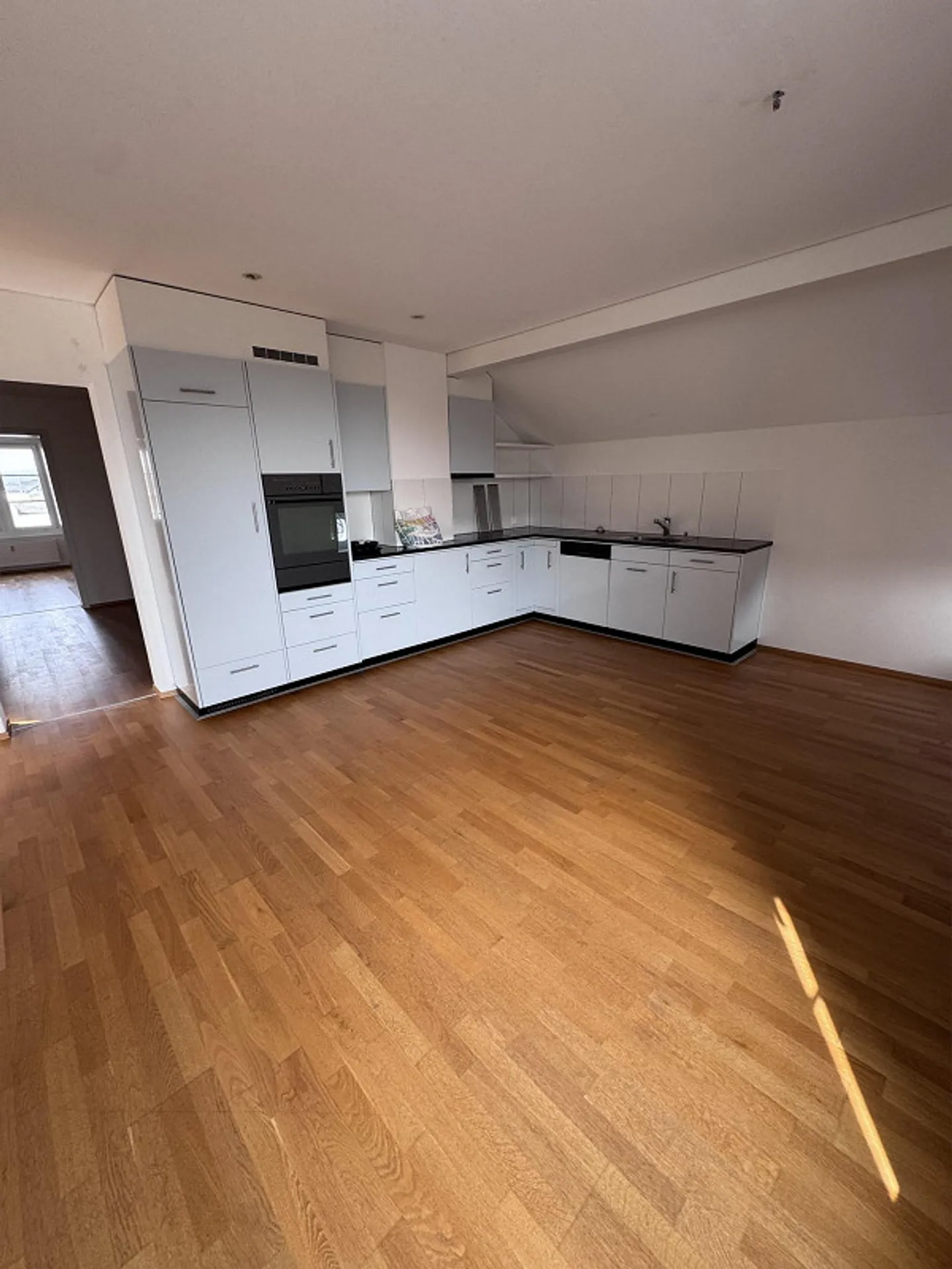 3.5 Room Attic Apartment - Photo 2 of 9