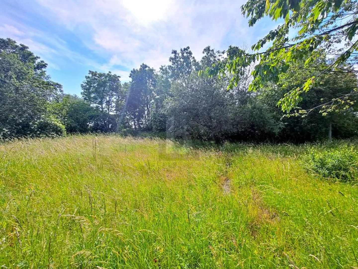 Farm for sale - Photo 1 of 6