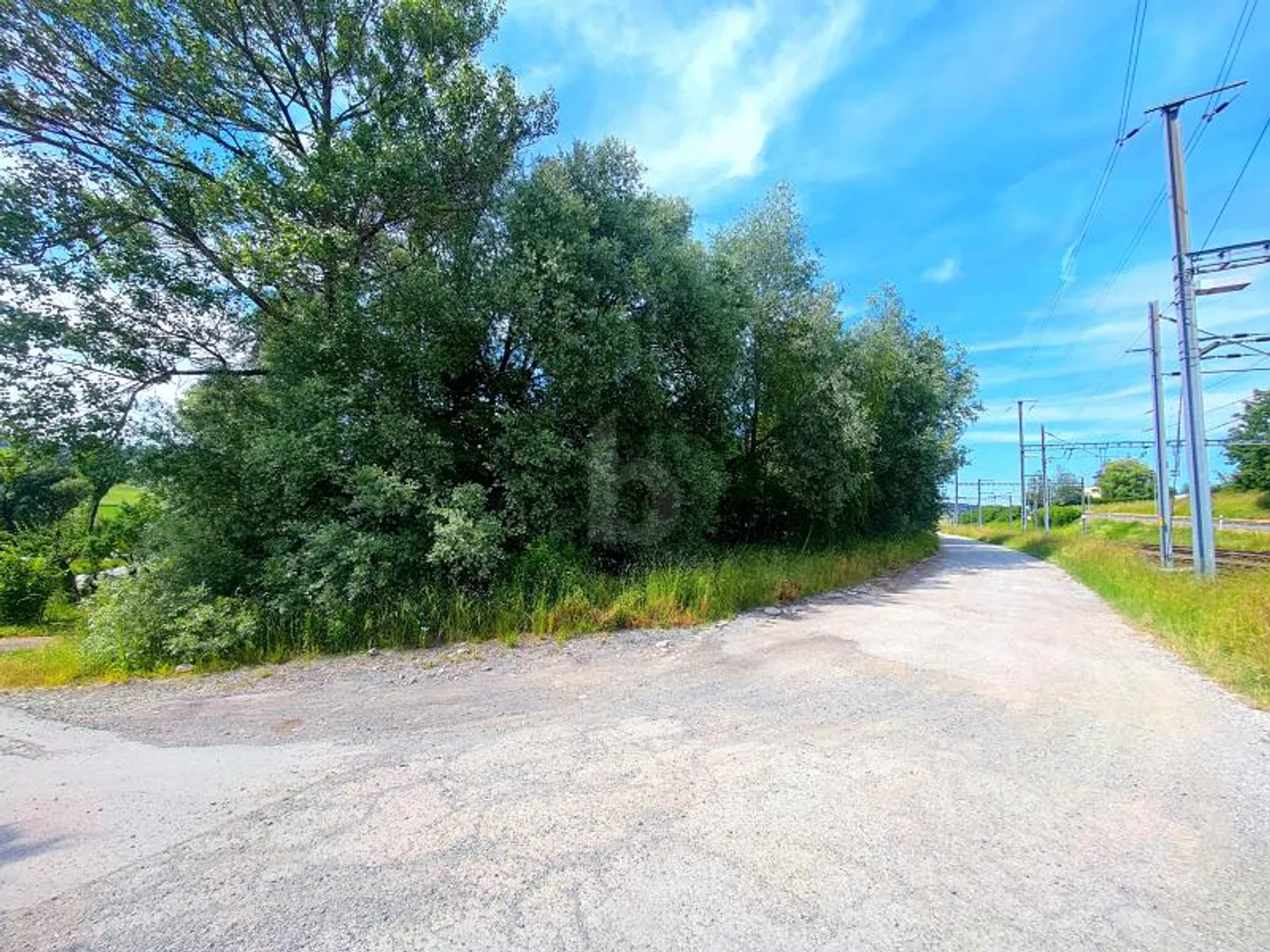 Farm for sale - Photo 4 of 6