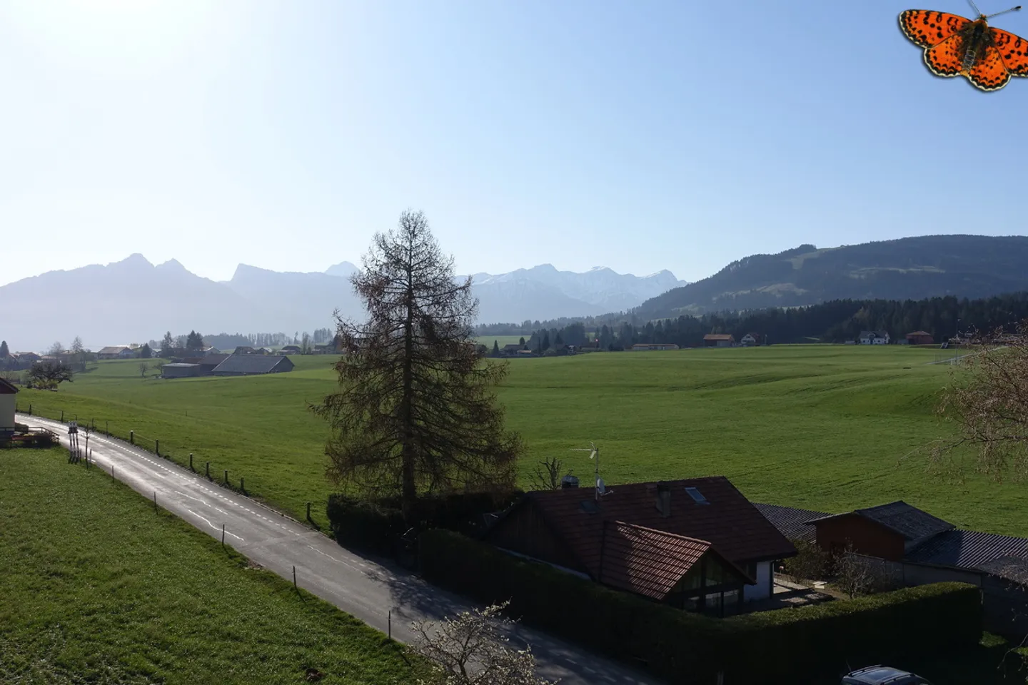 3 ZIMMER NEUE WOHNUNG VON 87 M² MIT MOLESON-BLICK! - Zwei Balkone! - Foto 7 von 9