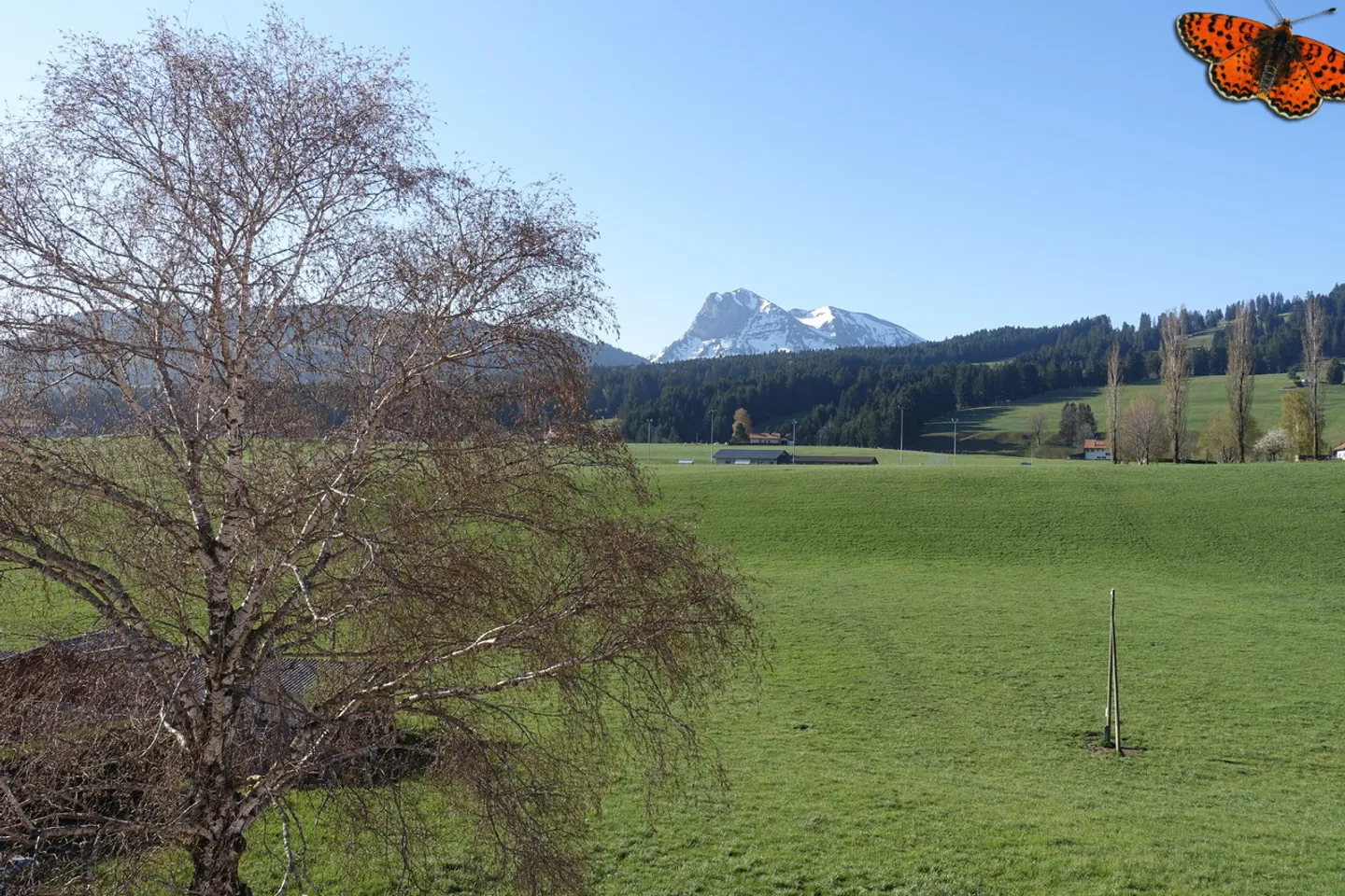 3 ZIMMER NEUE WOHNUNG VON 87 M² MIT MOLESON-BLICK! - Zwei Balkone! - Foto 8 von 9