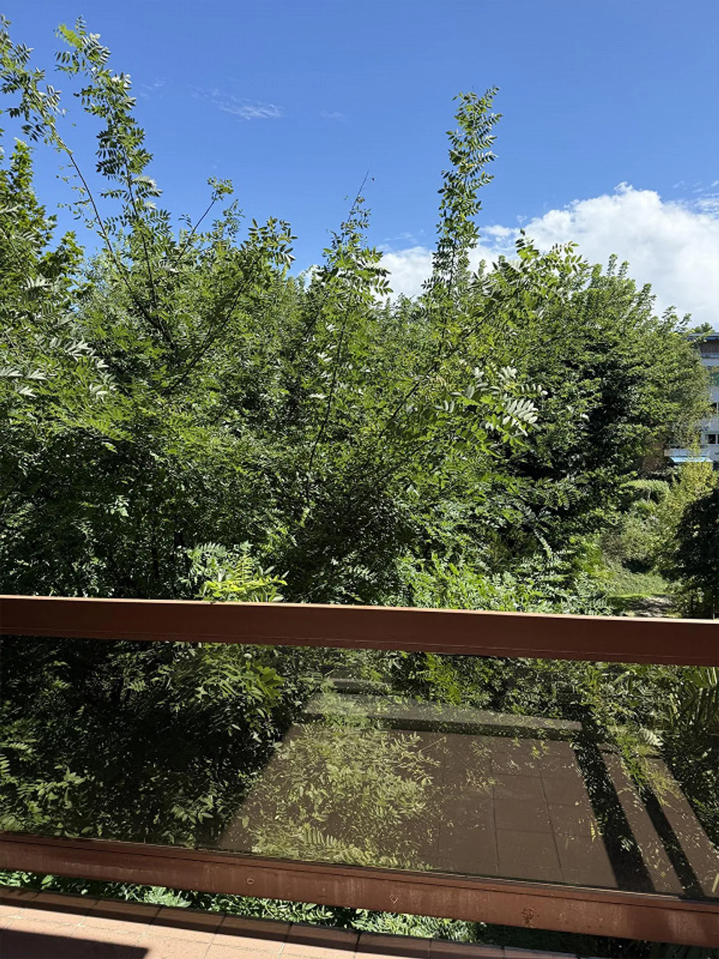 Charmante 2,5-Zimmer-Wohnung - Foto 3 von 12