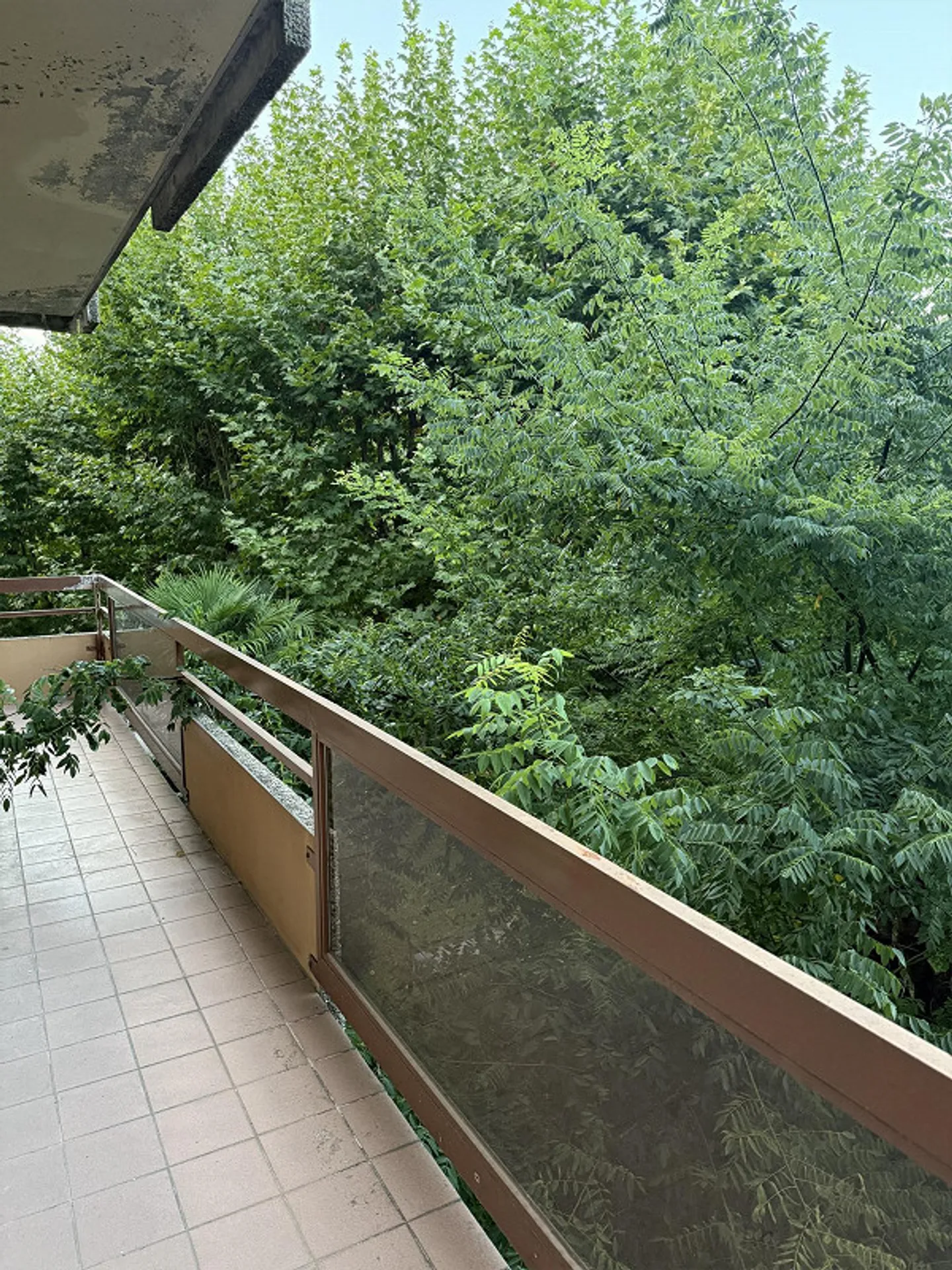 Charmante 2,5-Zimmer-Wohnung - Foto 12 von 12