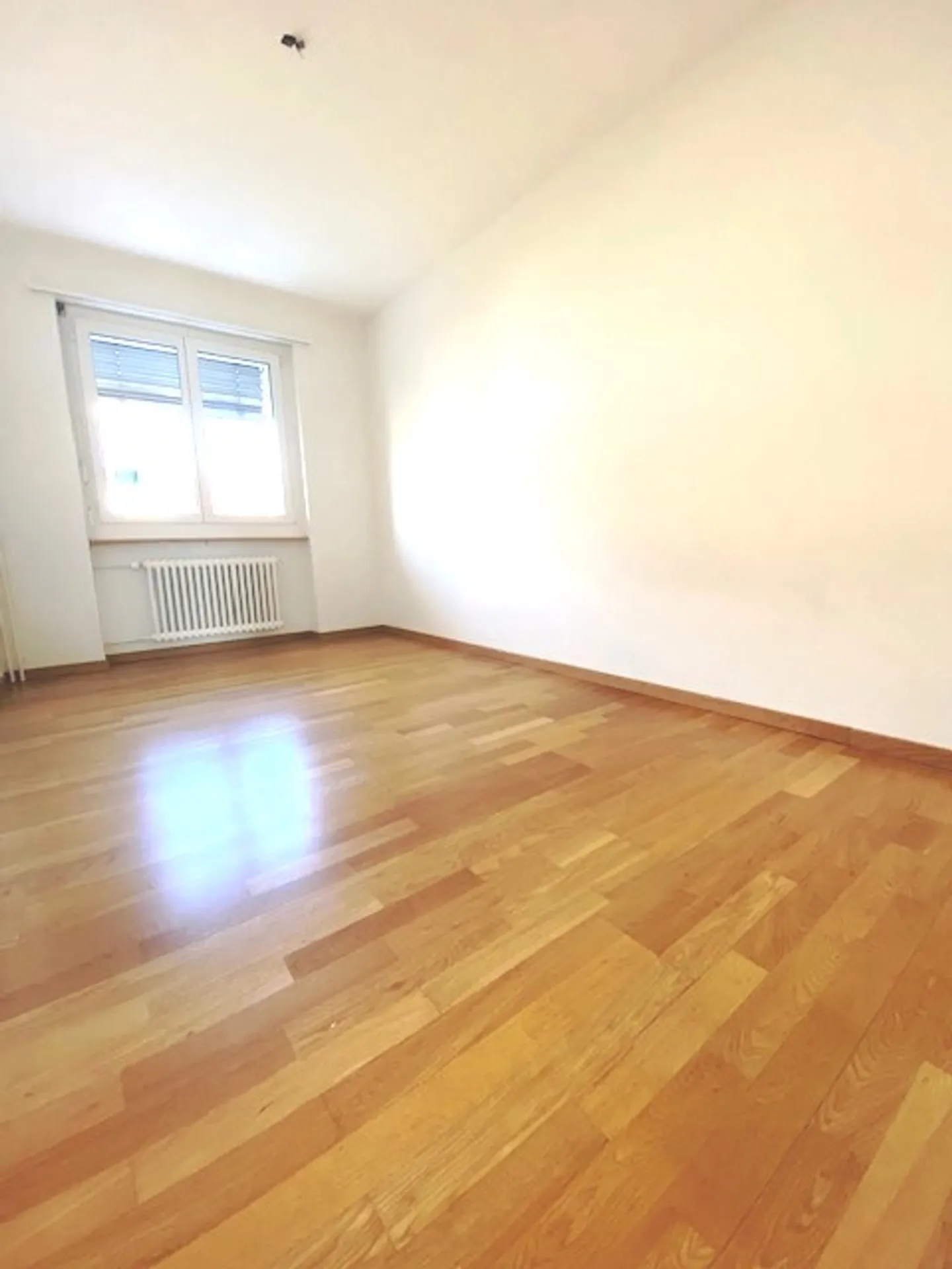 Beautiful attic apartment with terrace - Photo 6 of 7