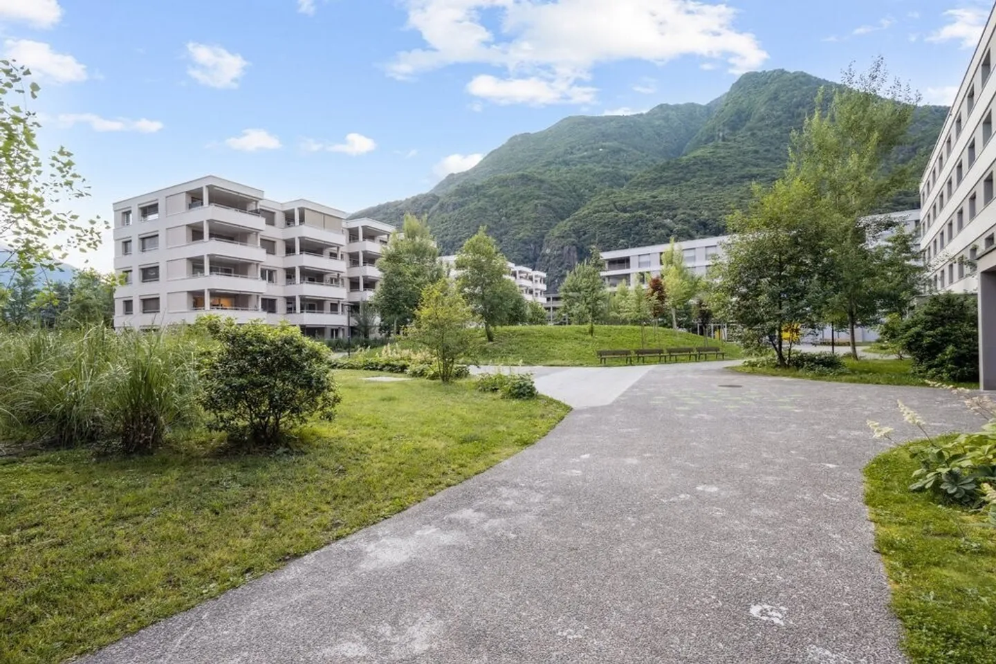 Luminoso appartamento di 2,5 stanze nel verde - Foto 8 di 8