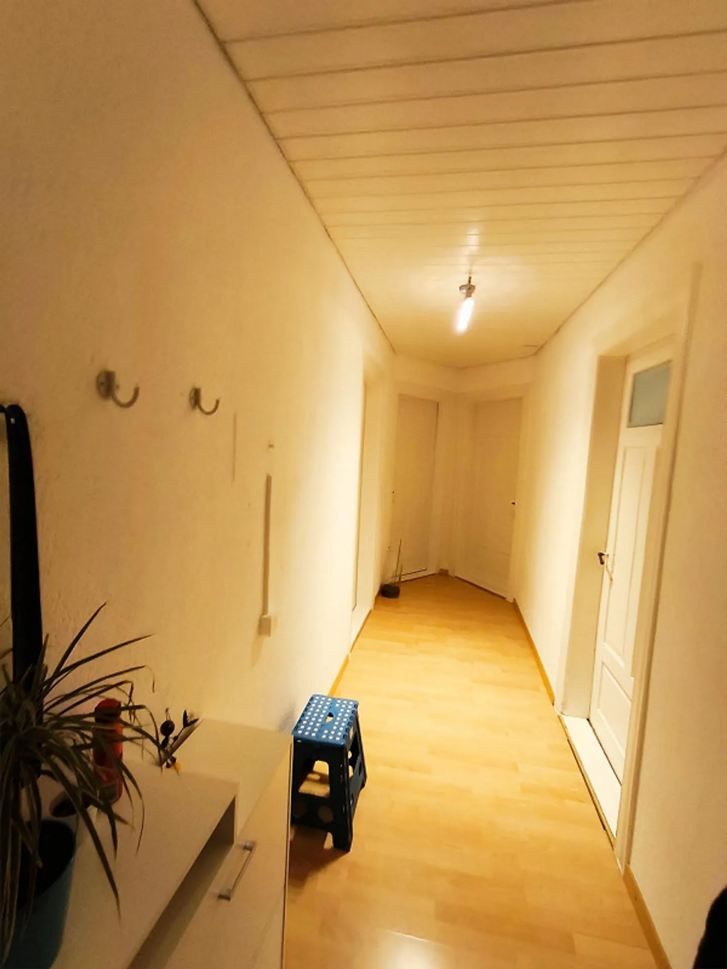 1 Room - Photo 2 of 7