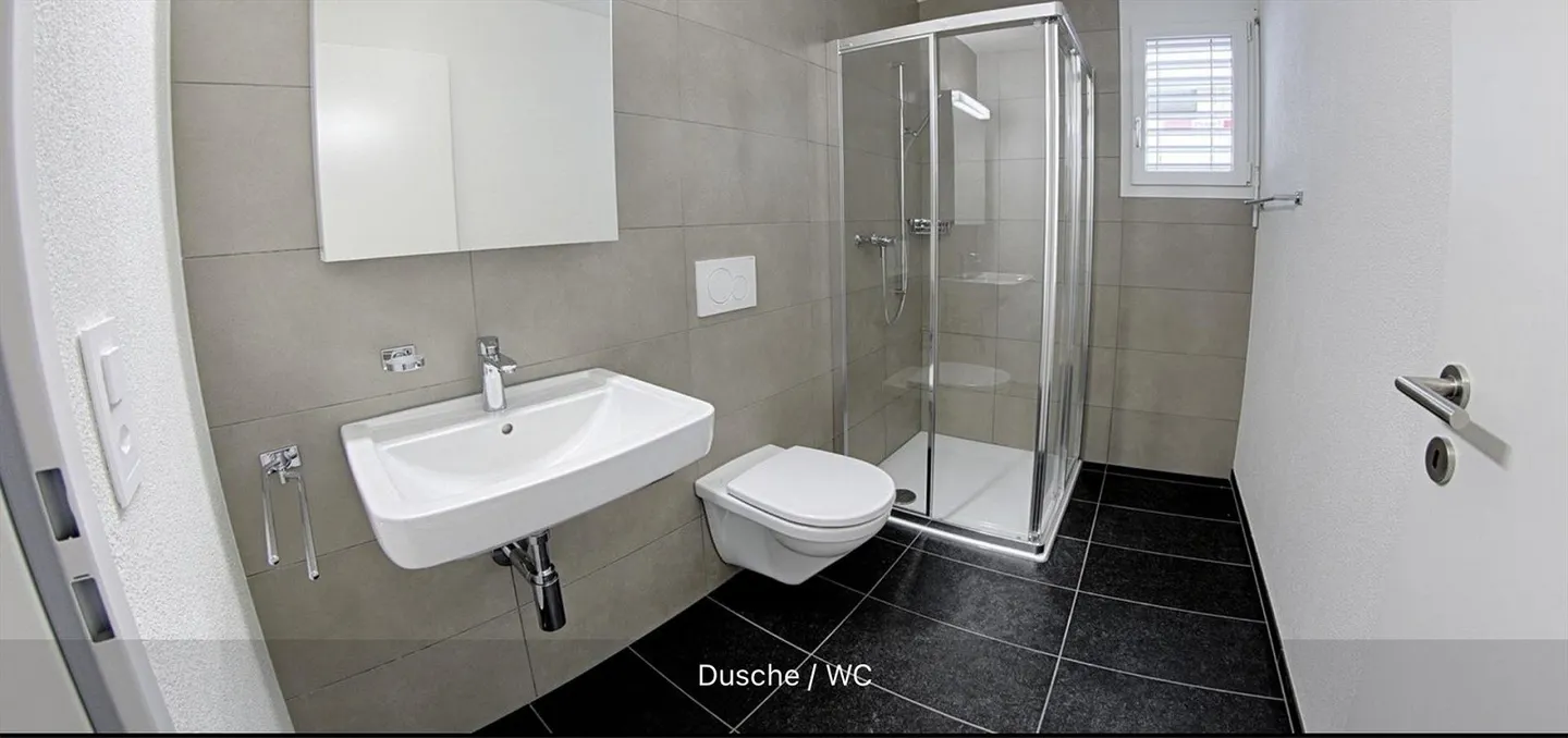 4.5 room apartment with great lake and mountain view - Photo 7 of 11