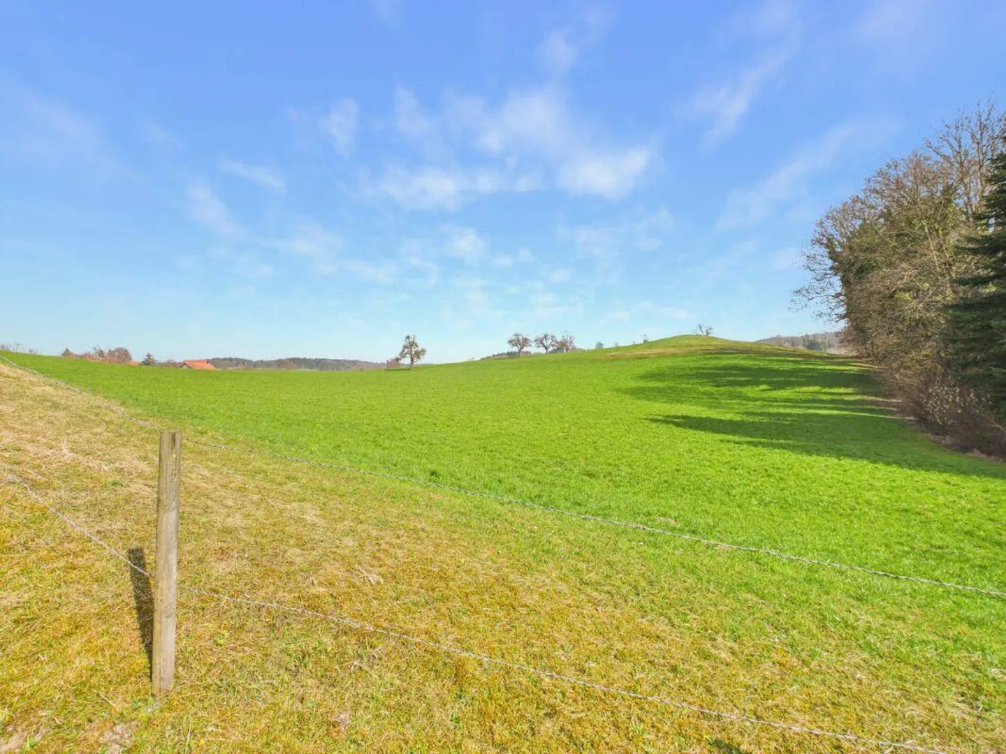 Maison familiale spacieuse avec garage - Photo 6 sur 26