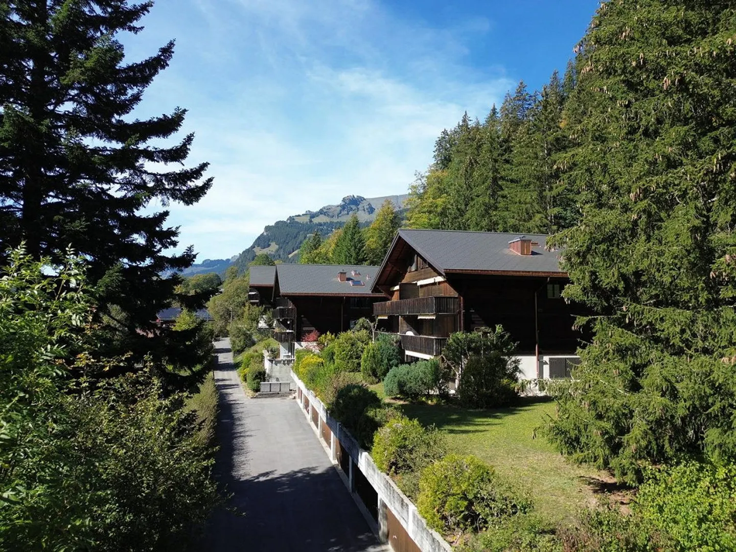 Appartement 2½ pièces confortable avec une vue magnifique sur les montagnes à Grindelwald - Photo 2 sur 14