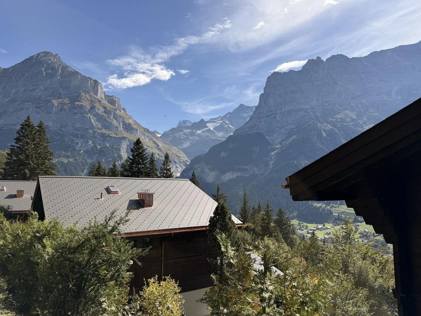 Appartement 2½ pièces confortable avec une vue magnifique sur les montagnes à Grindelwald - Photo 4 sur 14