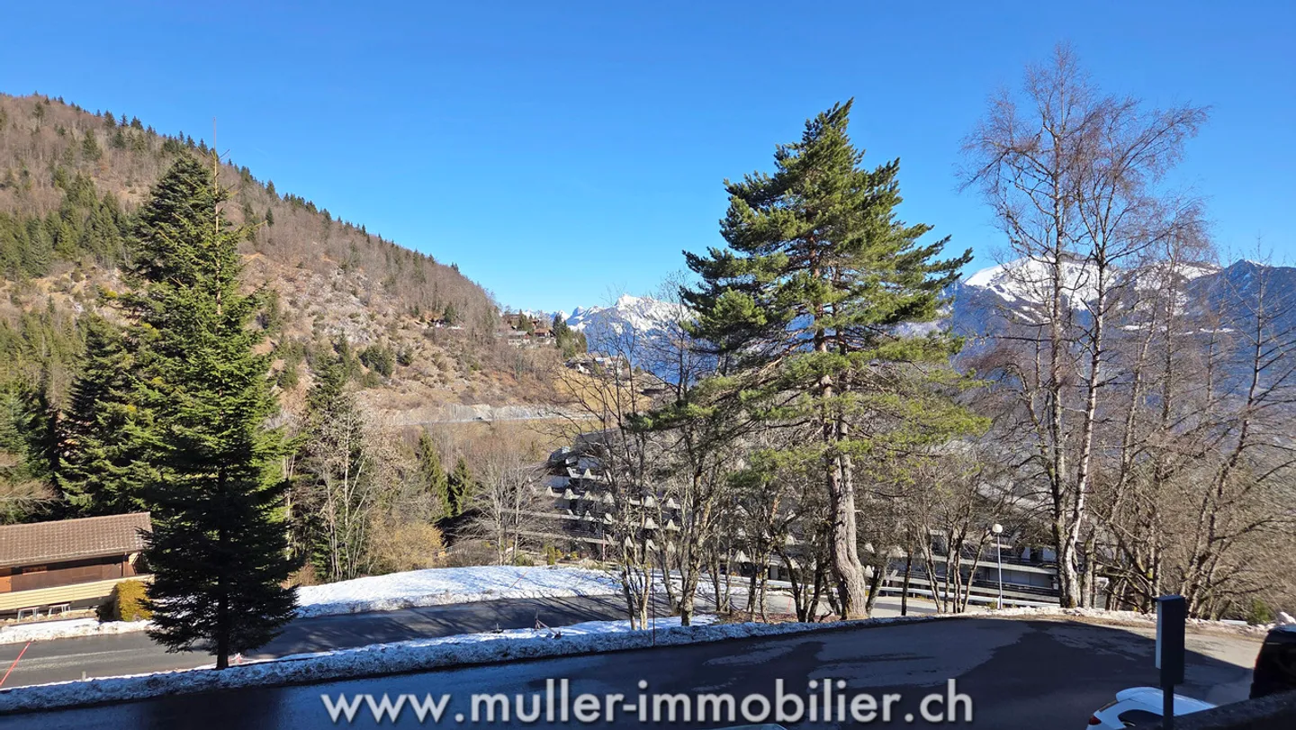 Very nice 2.5 room apartment in Torgon - Photo 11 of 13