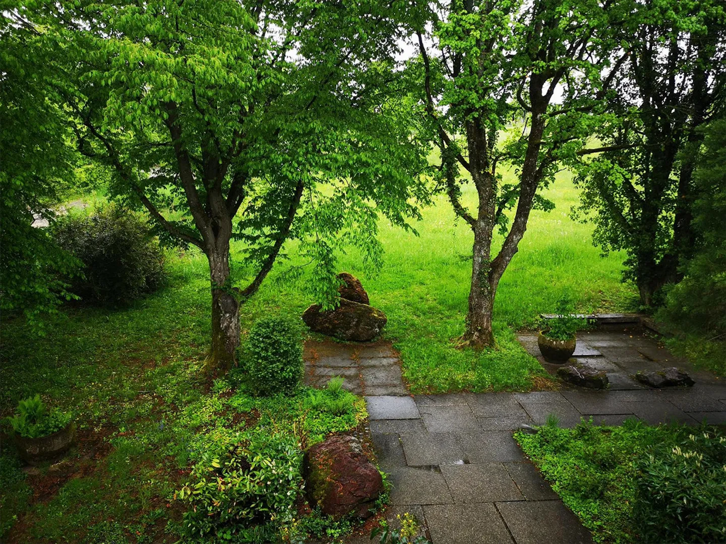 Living close to nature and the city - Limited until 31.07.2028 - Photo 1 of 12