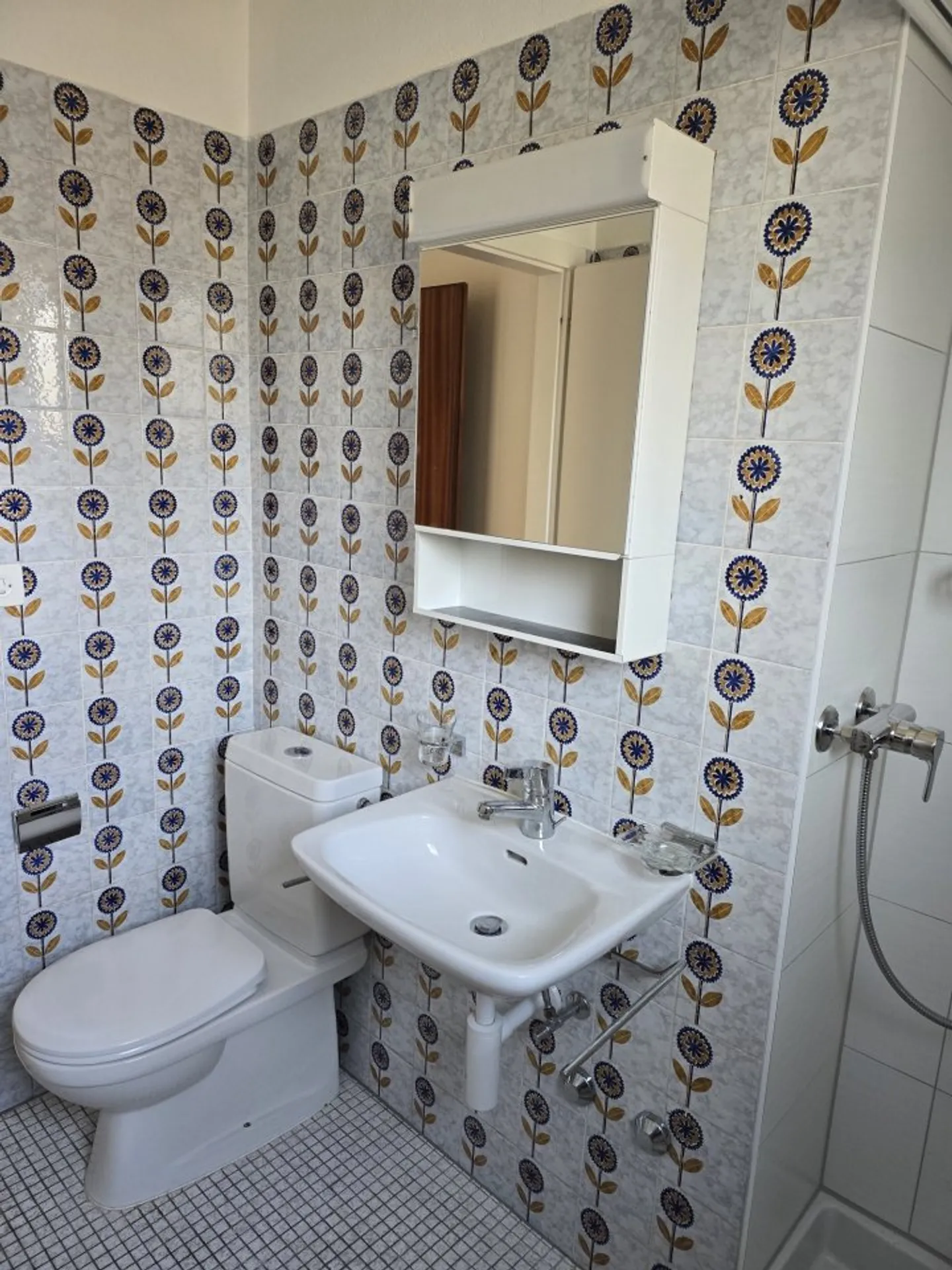 00080 - Studio Studio n° 91 - "Pont-du-Rhône" - Sion - Photo 6 sur 7