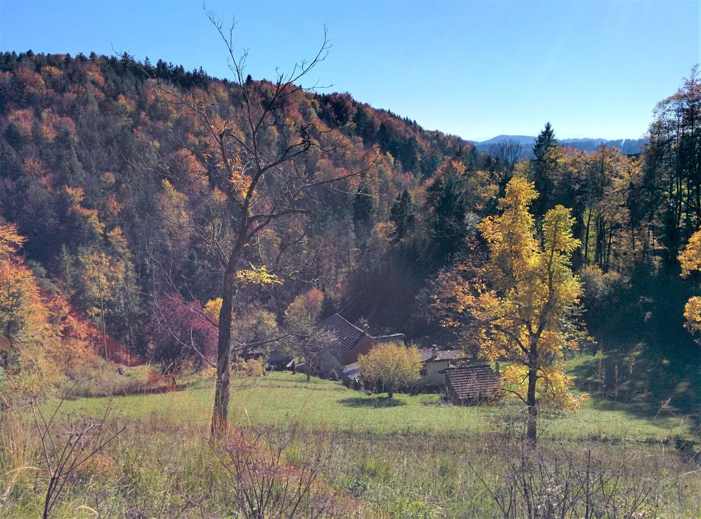 NOBILI GIOIELLI NATURALI: proprietà di 5,2 ha, 100% autosufficiente, con progetto di costruzione approvato, prato / foresta / stagno - Foto 6 di 14