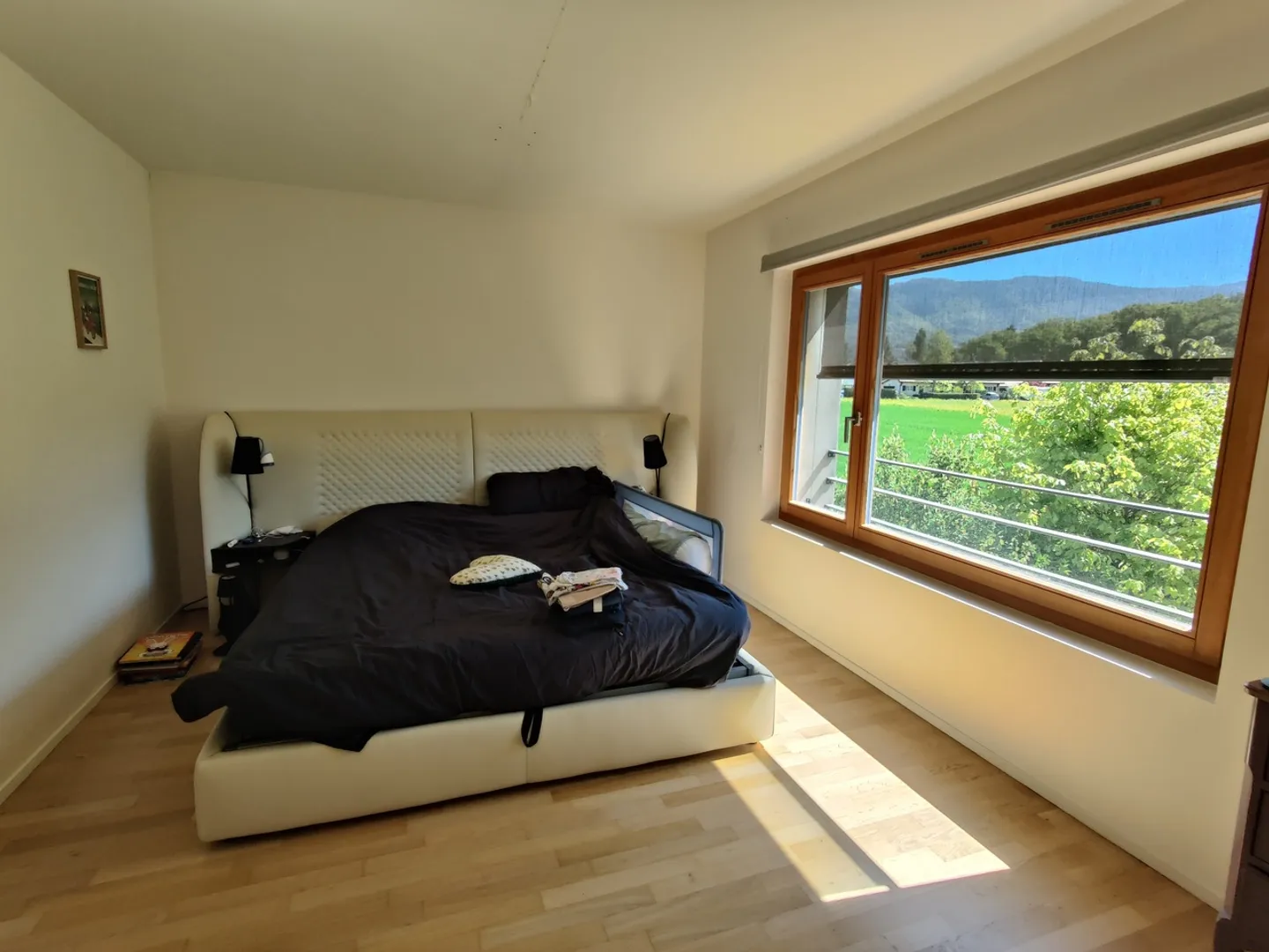 Magnifica villa di 6 stanze con giardino a Plan-les-Ouates - Foto 4 di 6