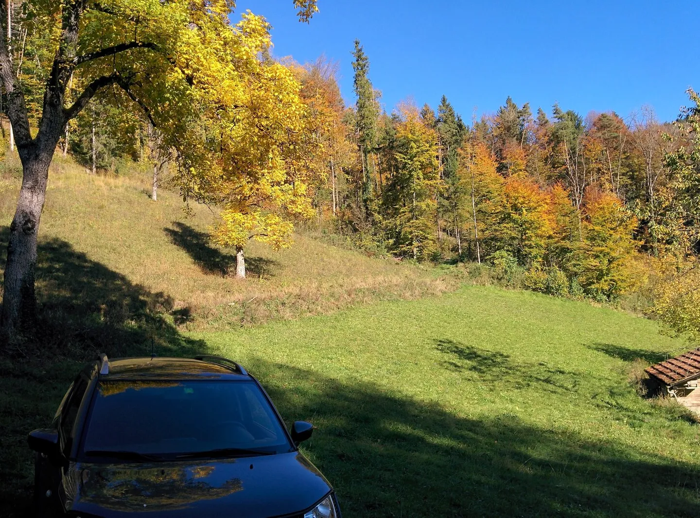 NOBILI GIOIELLI NATURALI: proprietà di 5,2 ha, 100% autosufficiente, con progetto di costruzione approvato, prato / foresta / stagno - Foto 10 di 14