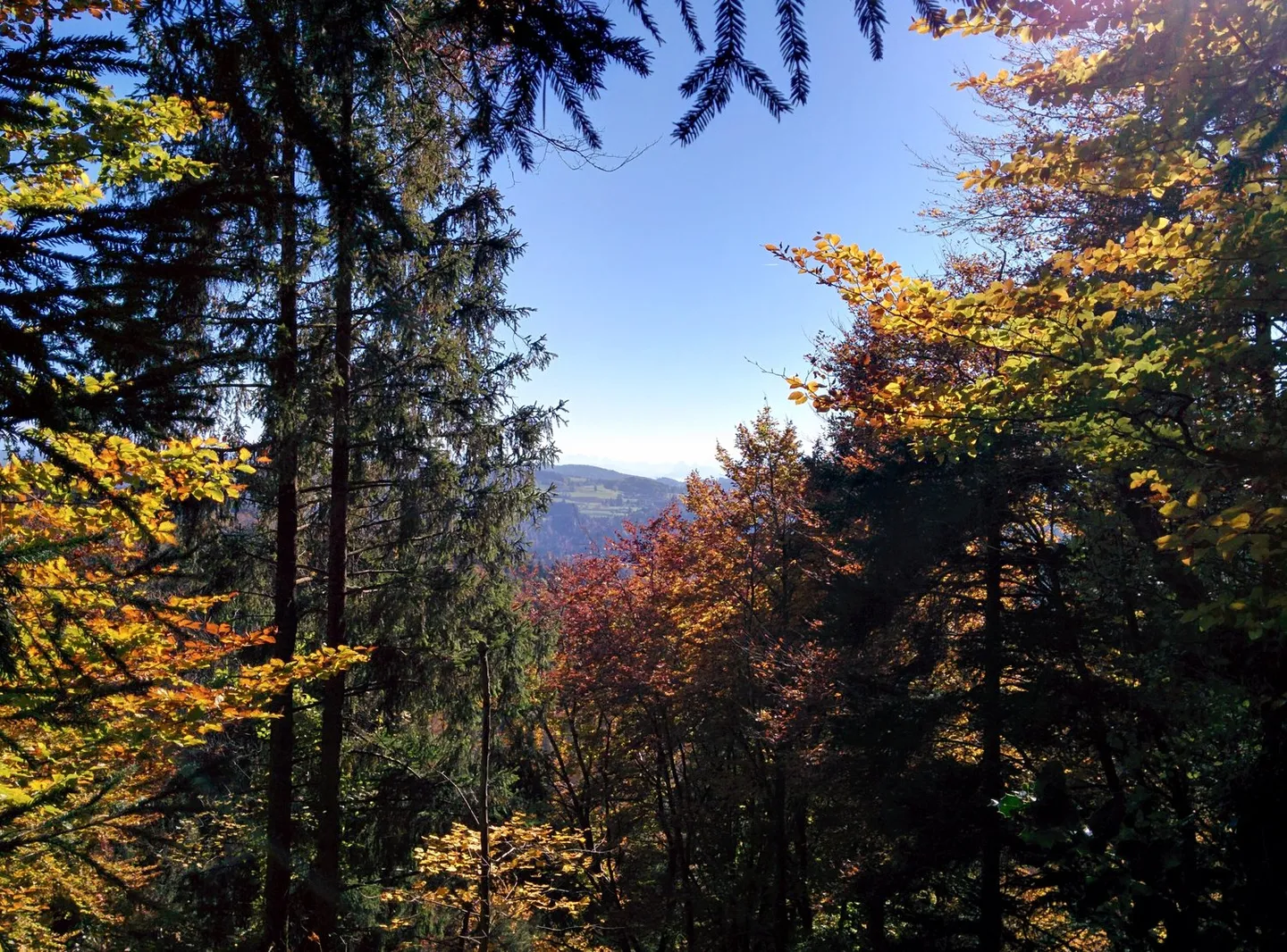 NOBILI GIOIELLI NATURALI: proprietà di 5,2 ha, 100% autosufficiente, con progetto di costruzione approvato, prato / foresta / stagno - Foto 14 di 14