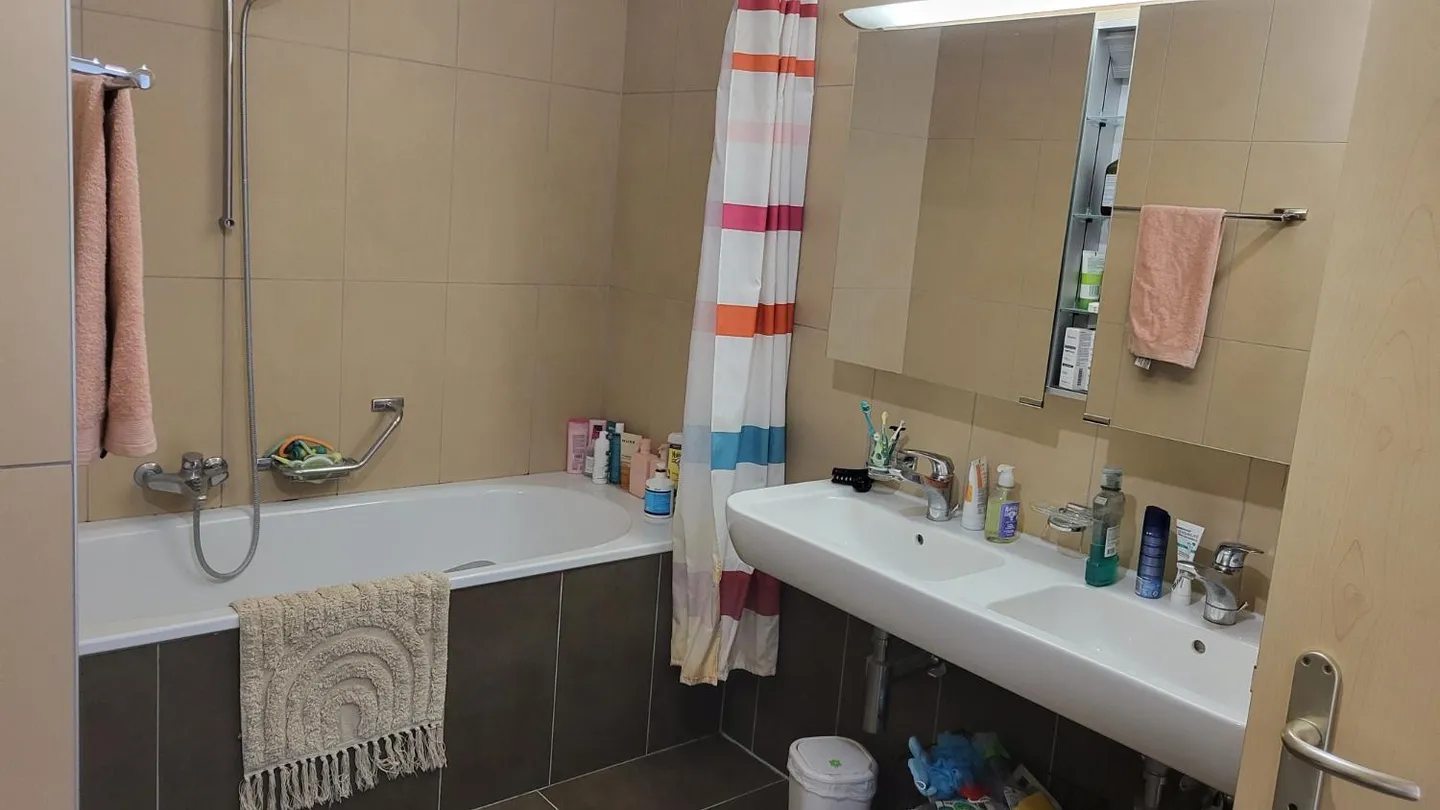 Beautiful bright apartment - Photo 5 of 7