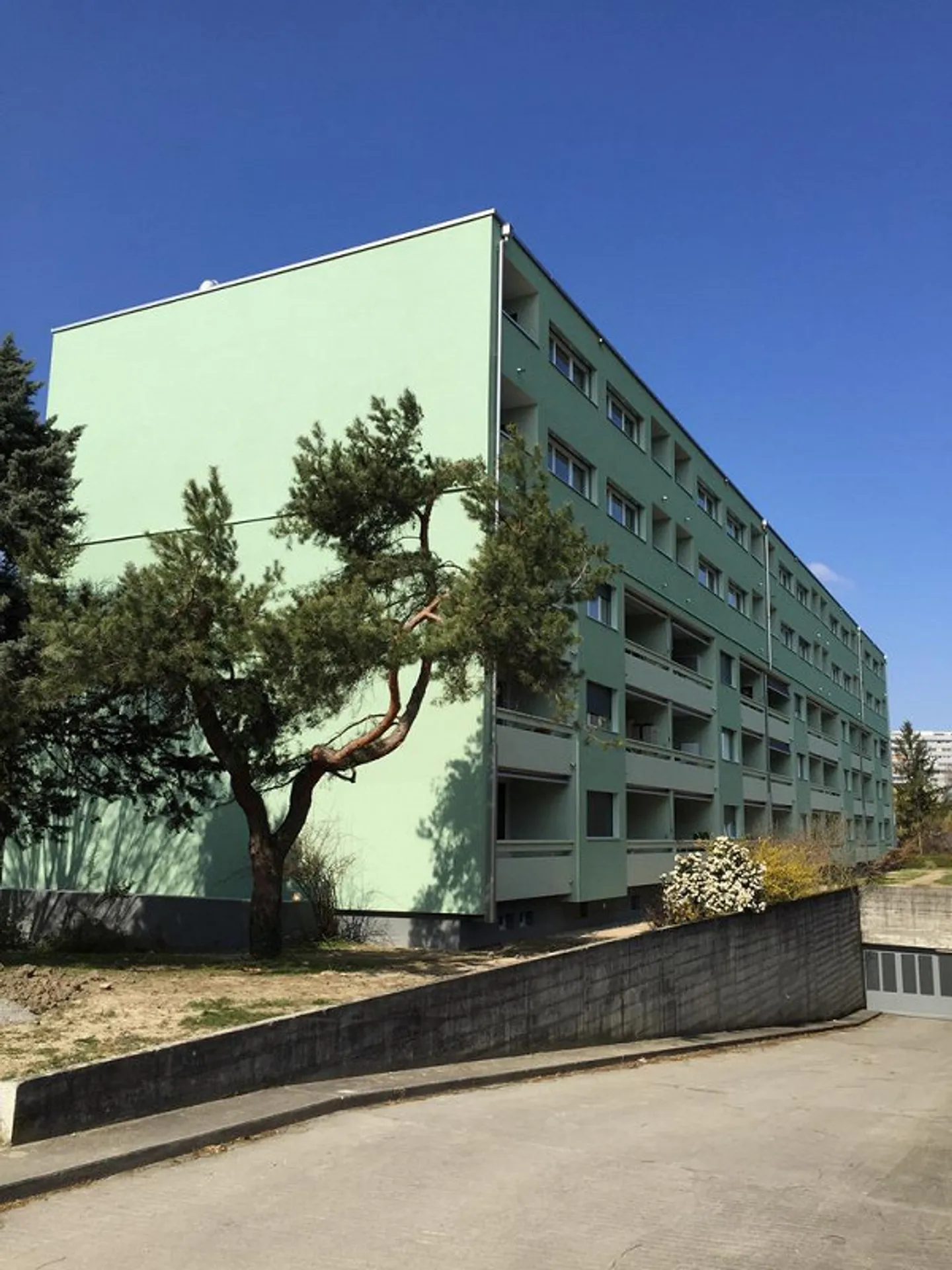 LITTLE COCOON FOR YOU - Photo 1 of 1