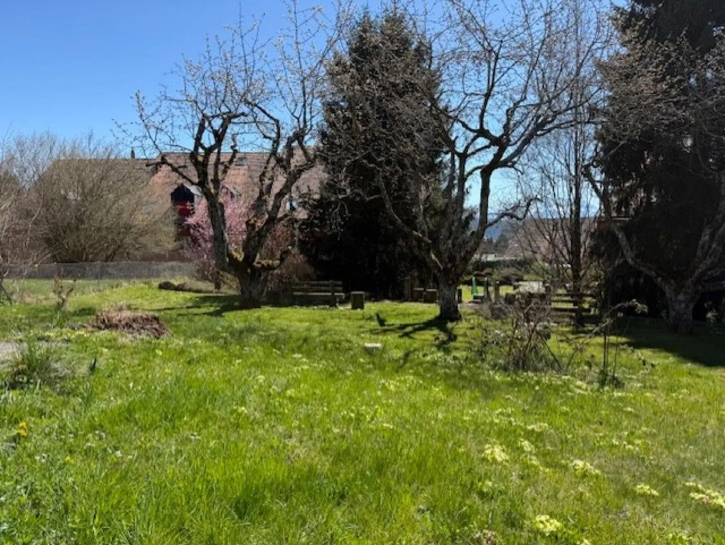 Helle Villa im Dorfzentrum - Foto 2 von 9