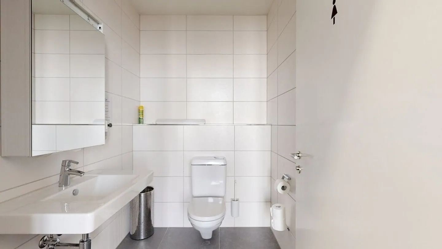 Approximately 250m2 office space for rent in Brugg - Photo 9 of 9